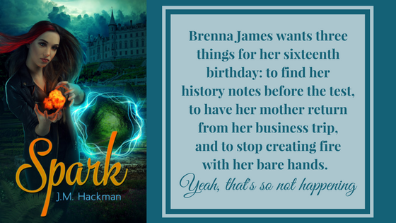 Brenna James wants three things for her sixteenth birthday- to find her history notes before the test, to have her mother return from her business trip, and to stop creating fire with her bare hands. Yeah, that’s  (1).png