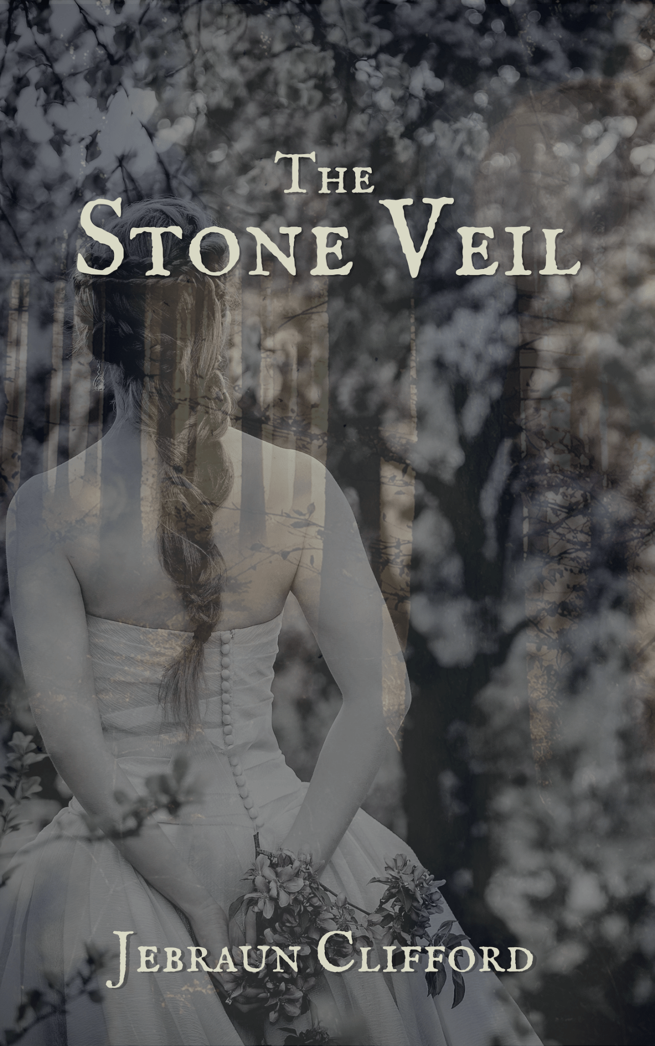 The Stone Veil (1)